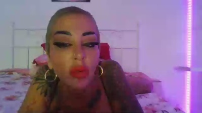 ASSERINA Live Image