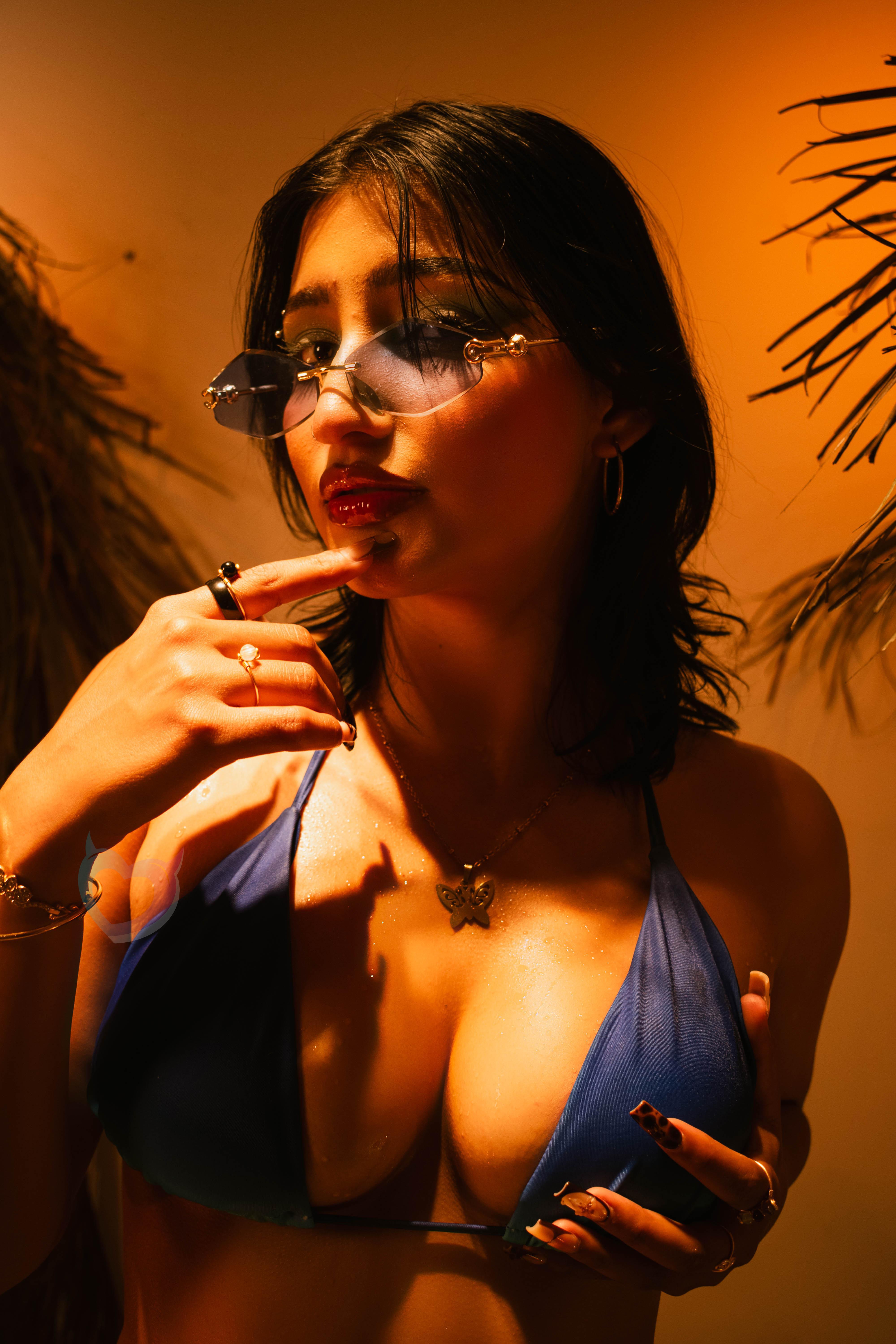 AriaNova_ Live Image