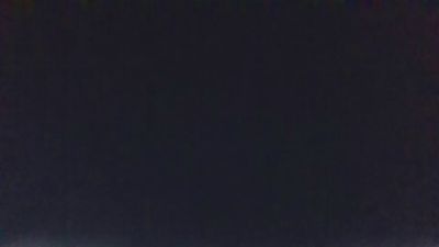BIRDY1383 Live Image