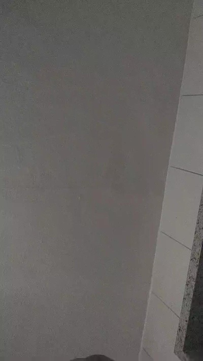 Boy288270