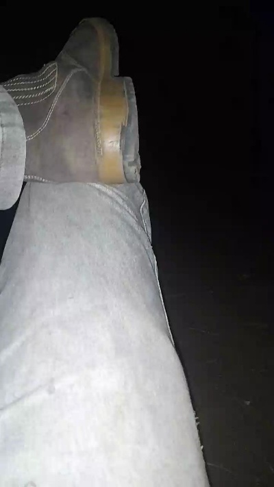 CastroDotad Live Image