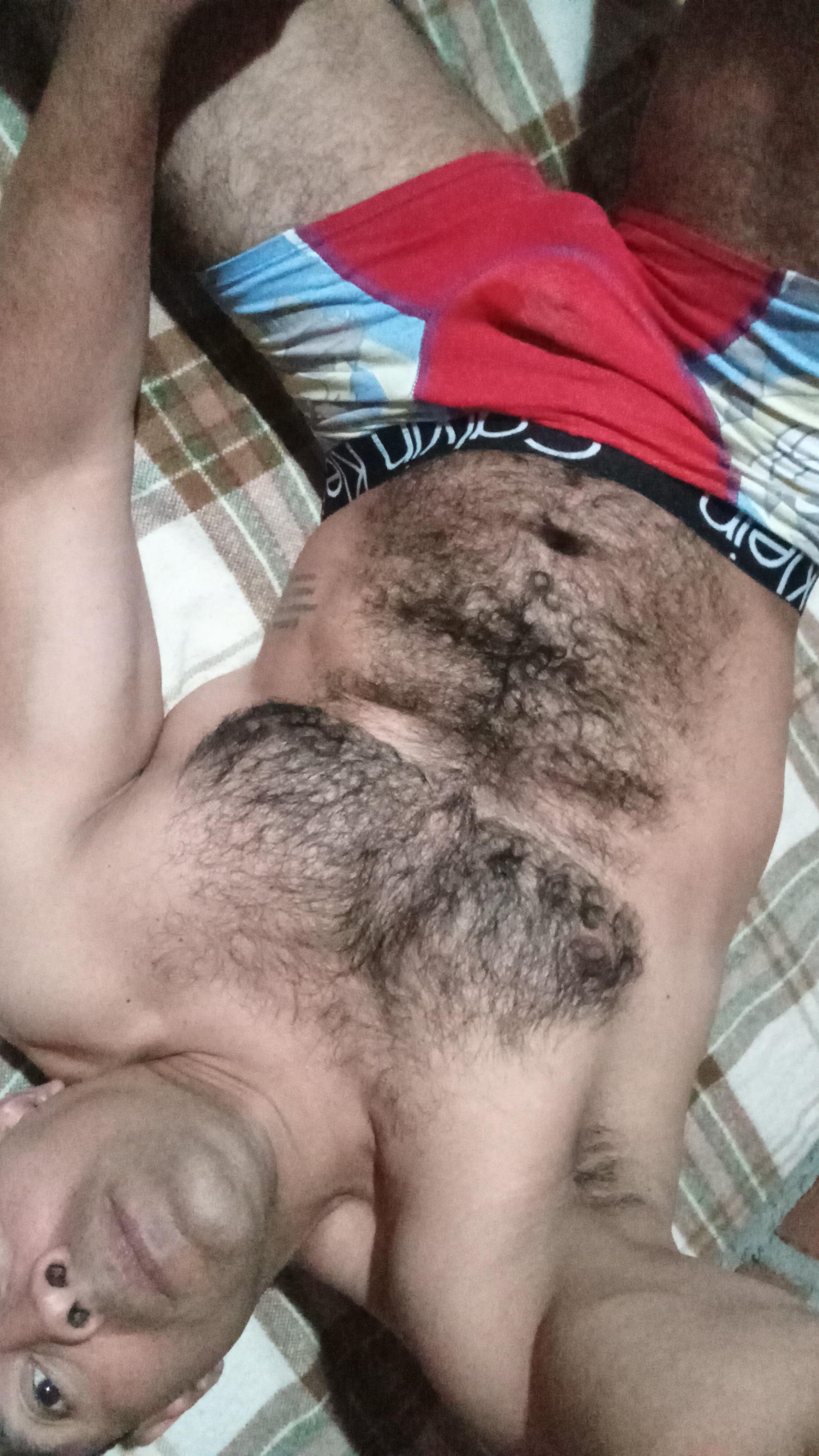Lobogym39