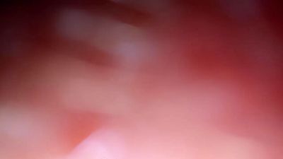 actif333 Live Image