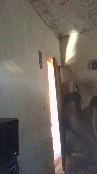agusaguss Live Image