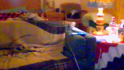 allnighter4ever
