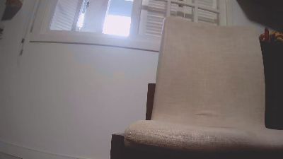 gato_rs_bras Live Image