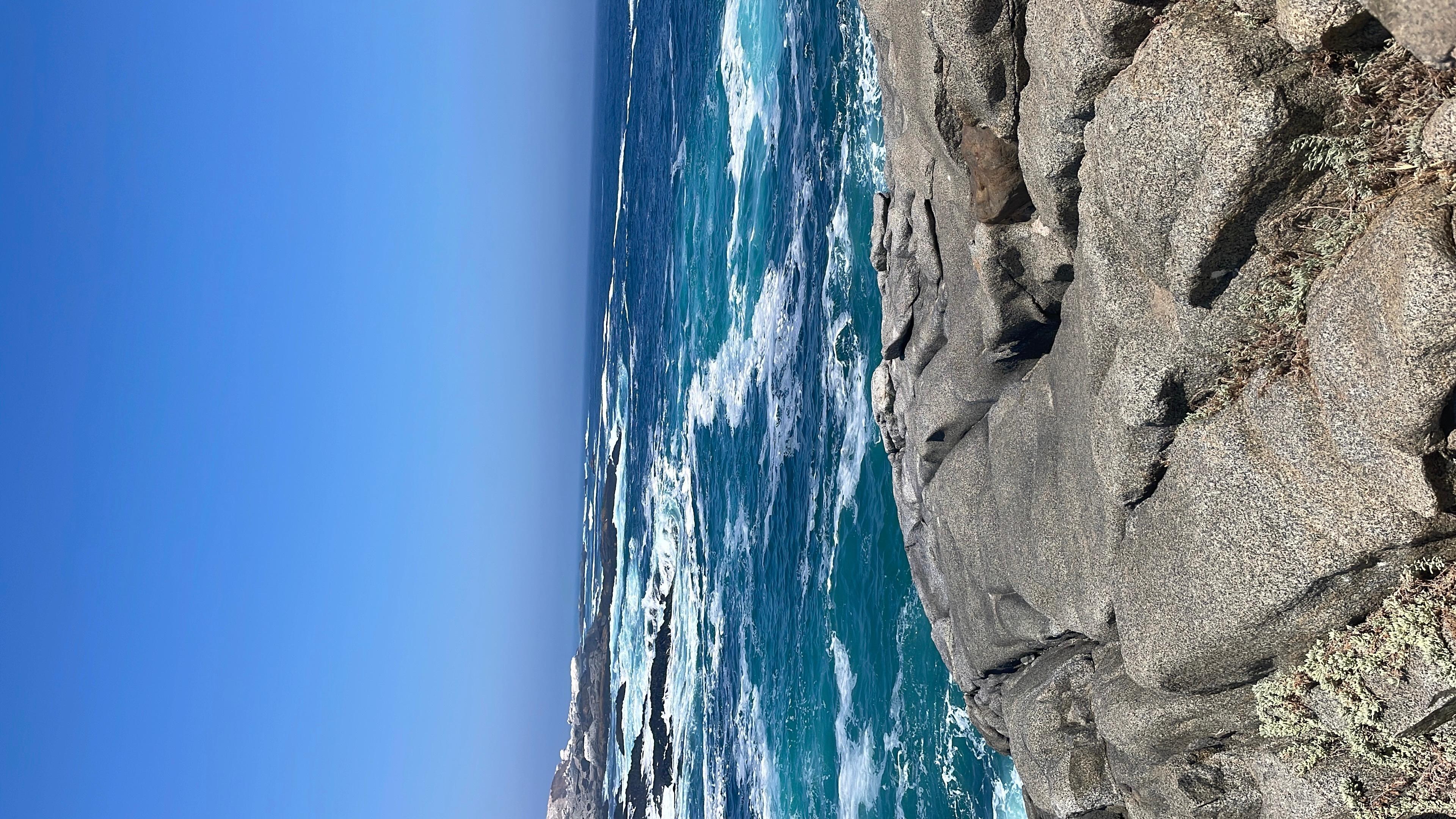 leoto5 Live Image