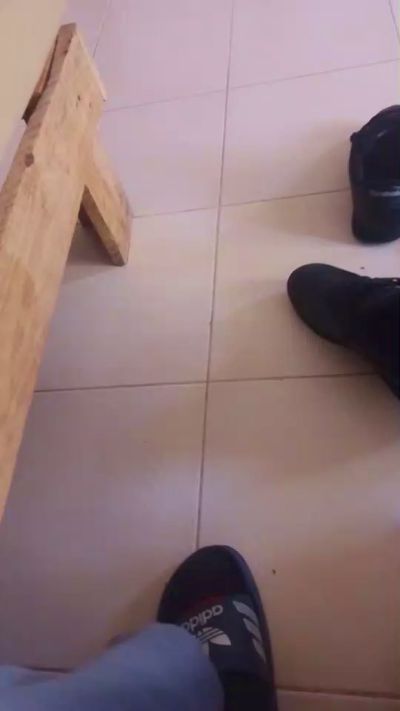 prometeo25 Live Image