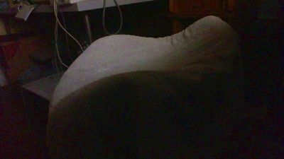 lustmolch_39 live from Germany
